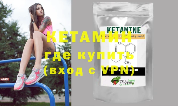 шишки Белокуриха