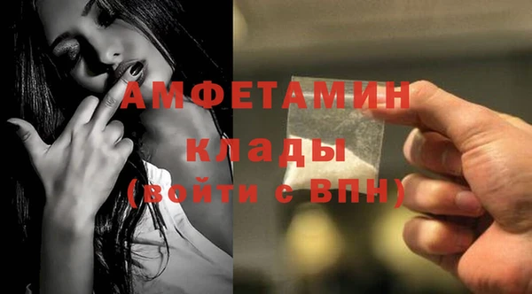 шишки Белоозёрский