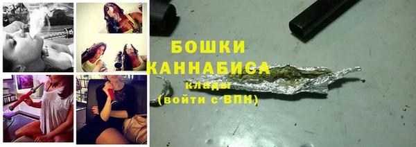 шишки Белоозёрский