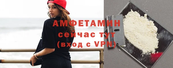 шишки Белокуриха