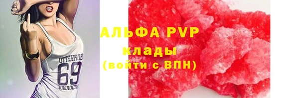 шишки Белоозёрский
