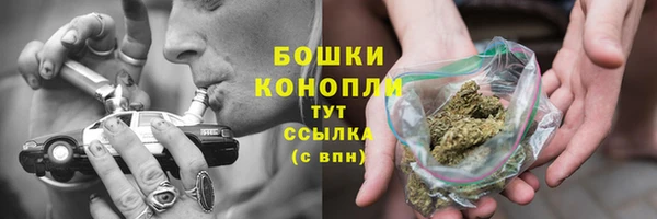 шишки Белоозёрский