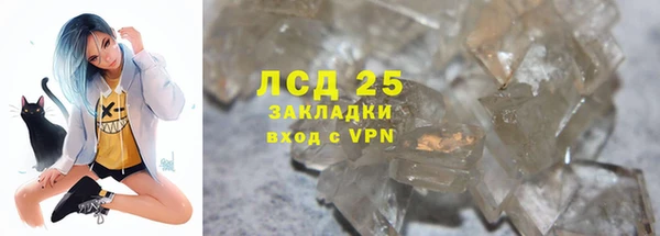 шишки Белоозёрский
