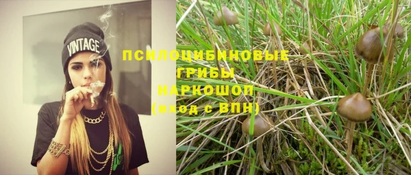 шишки Белоозёрский