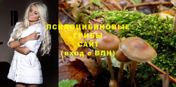 шишки Белокуриха