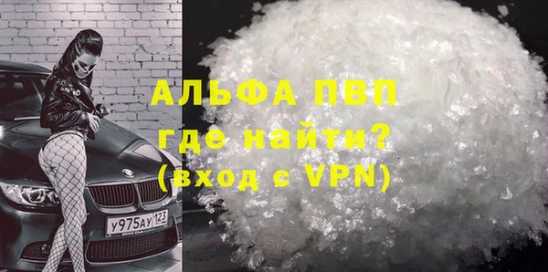 шишки Белокуриха