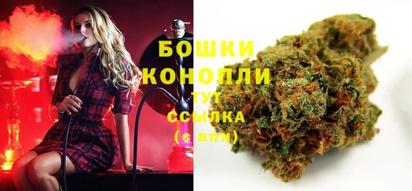 шишки Белоозёрский