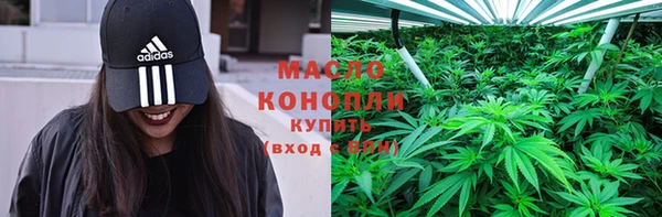 шишки Белоозёрский